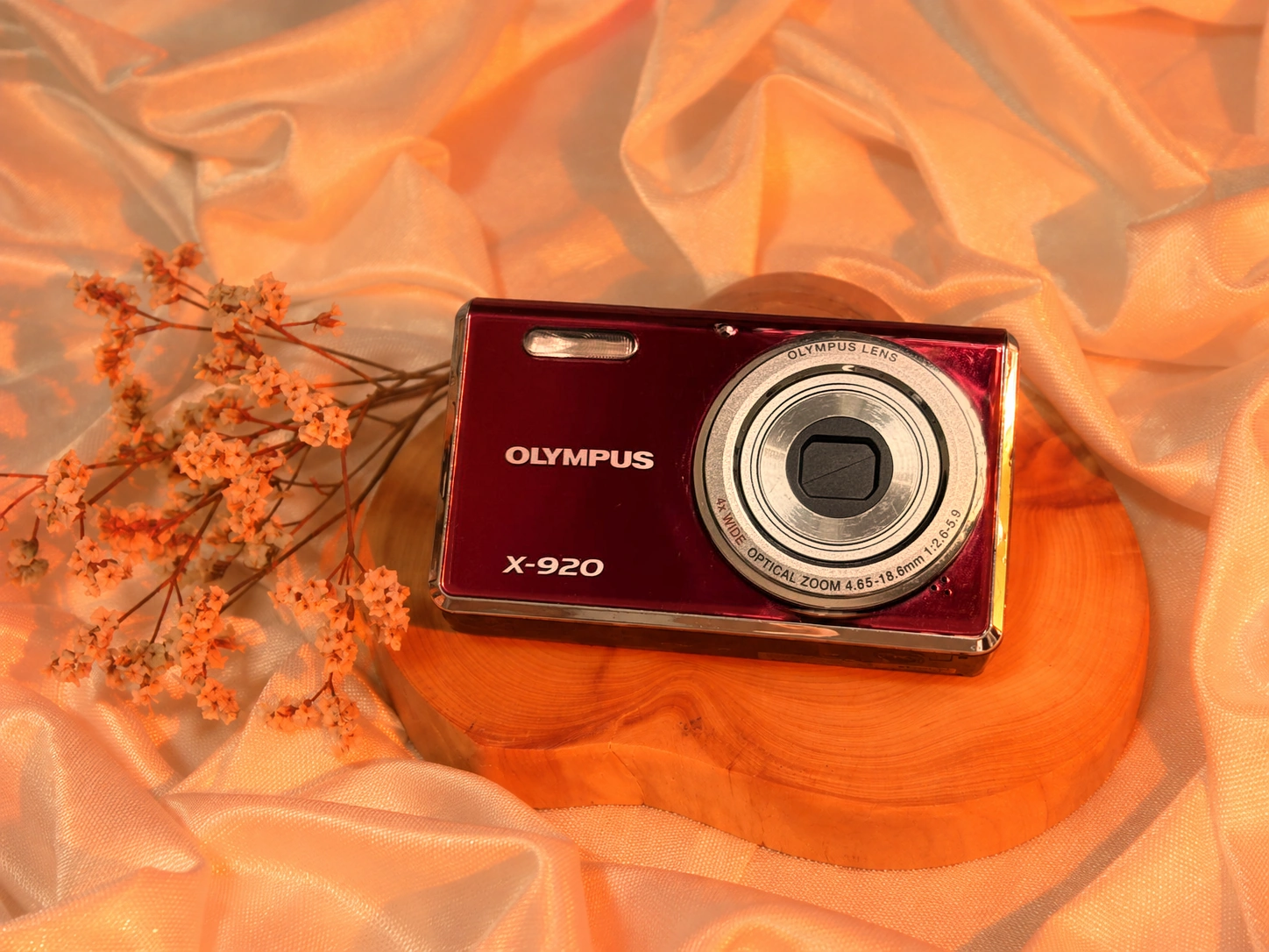 Olympus x920 digicam