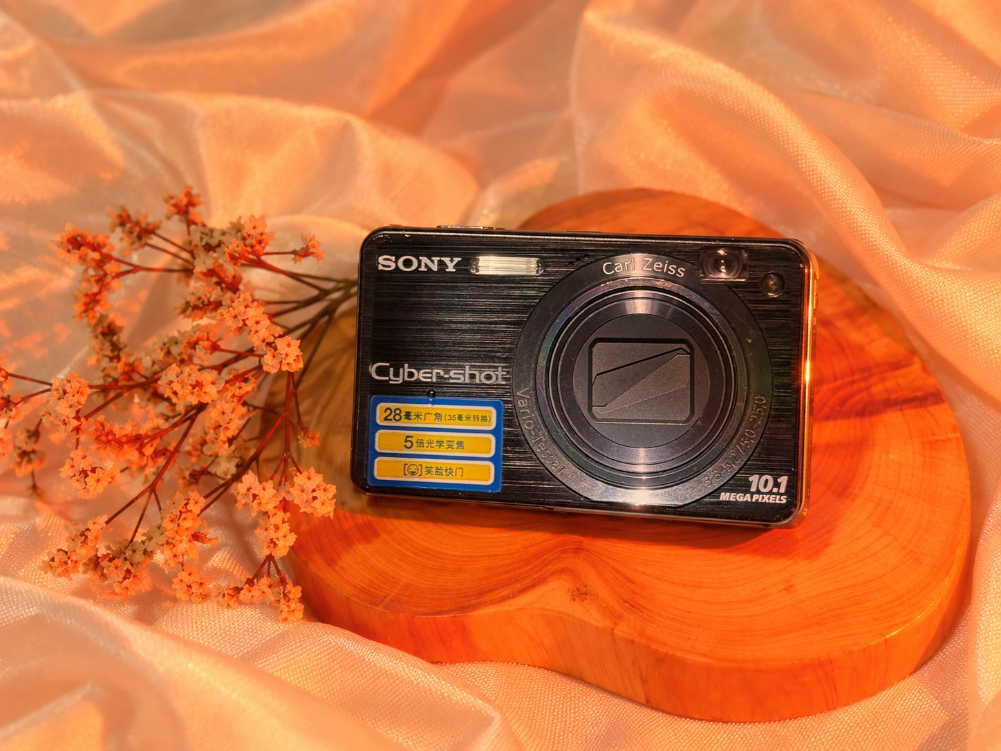 Sony Cybershot W170 digicam