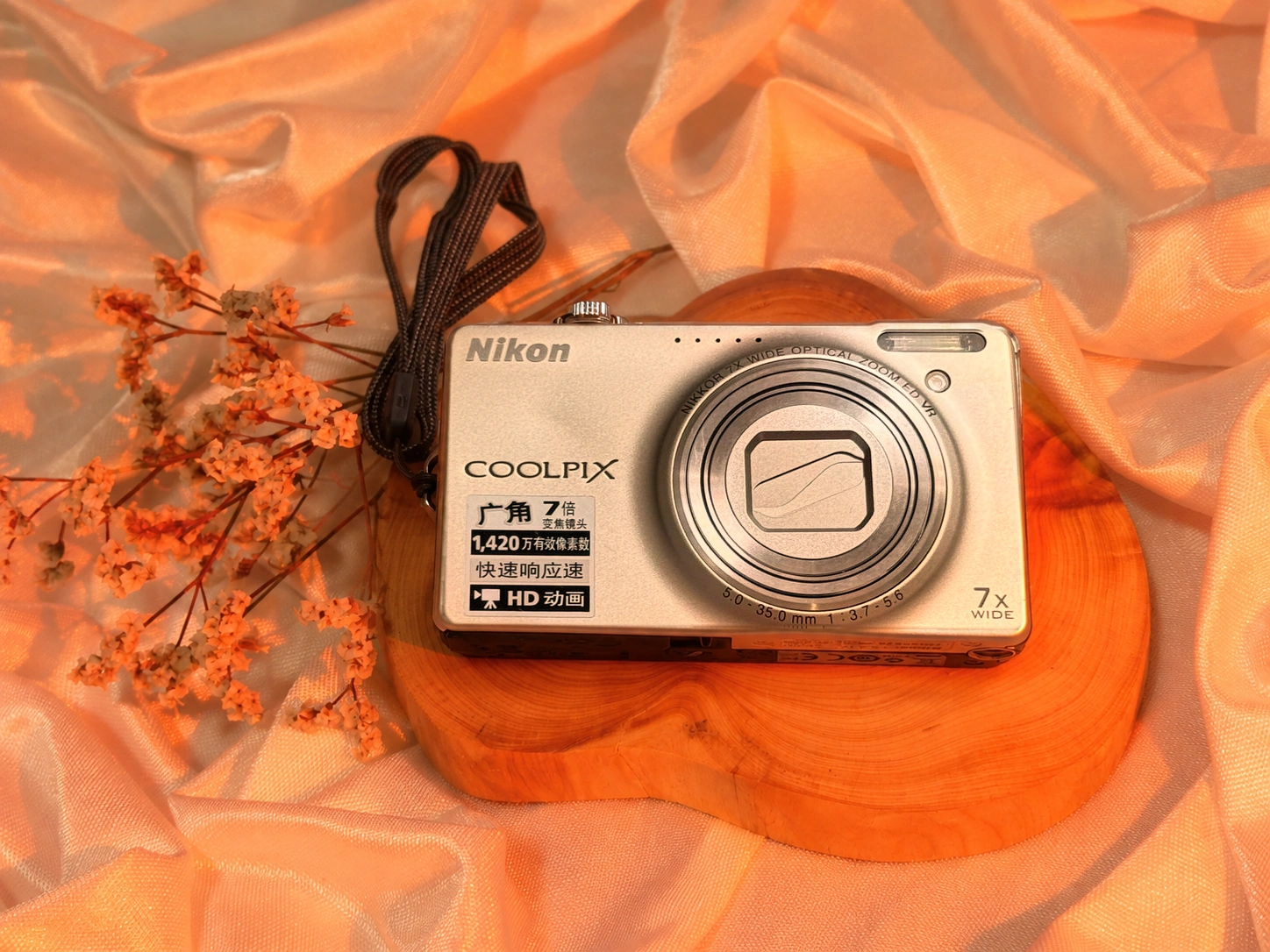 Nikon Coolpix S6000 digicam