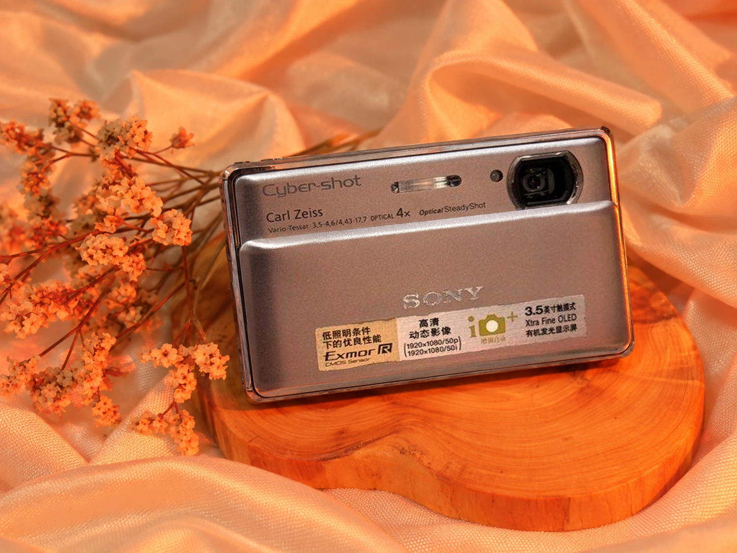 Sony Cybershot DSC-TX100 digicam