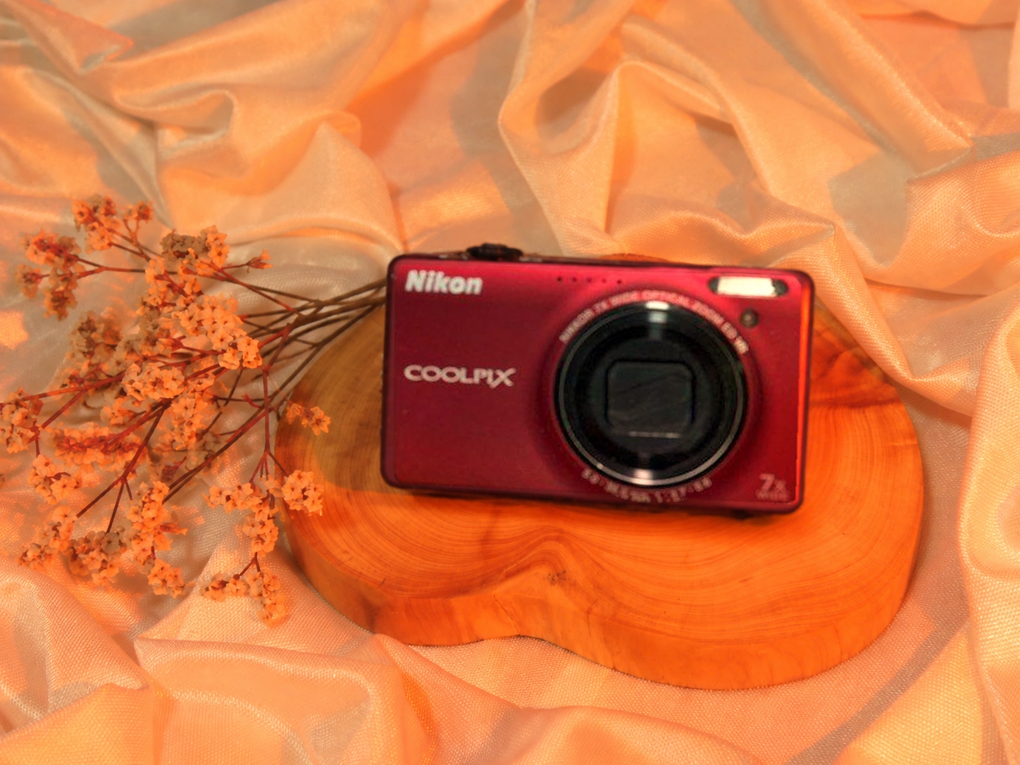 Nikon COOLPIX S6000 (Red) digicam