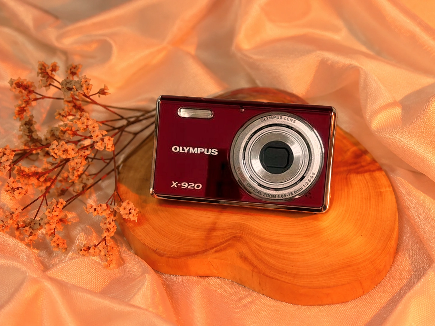 Olympus X-920 digicam