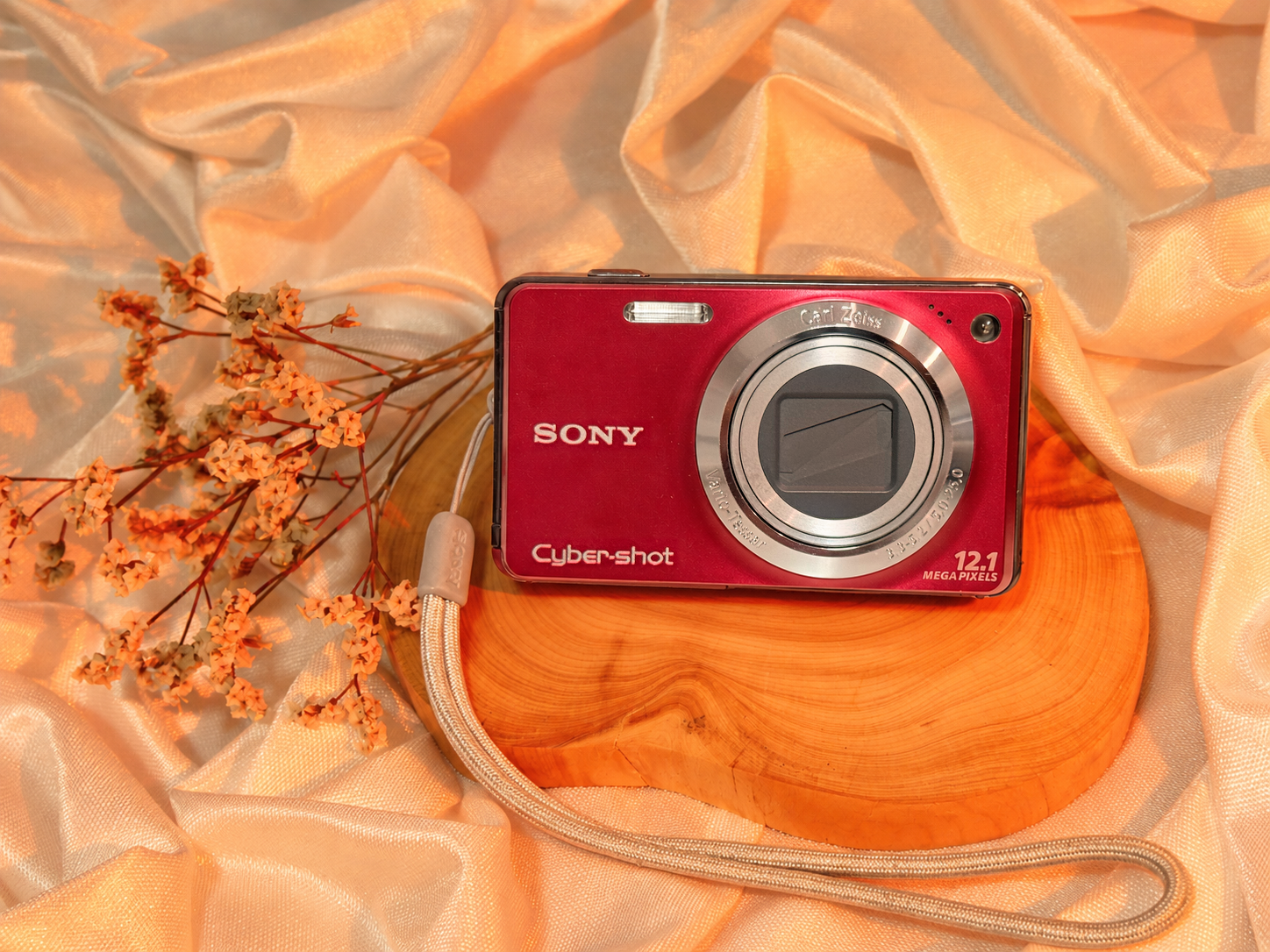 Sony Cyber-shot DSC-W270 digicam